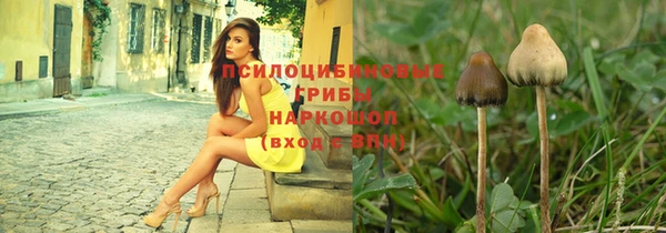 амф Алзамай